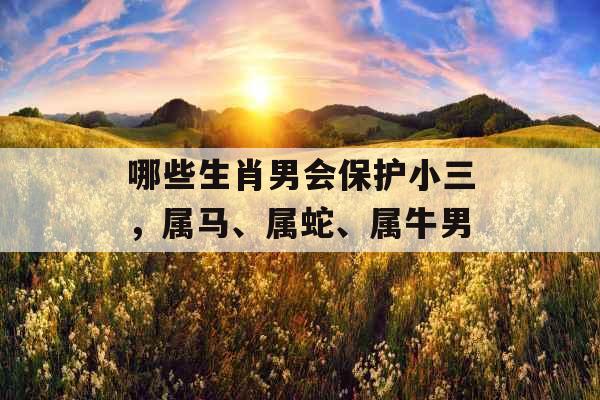 哪些生肖男会保护小三，属马、属蛇、属牛男