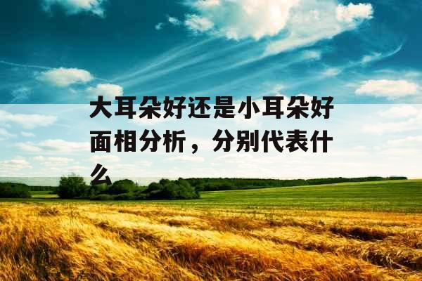 大耳朵好还是小耳朵好面相分析，分别代表什么