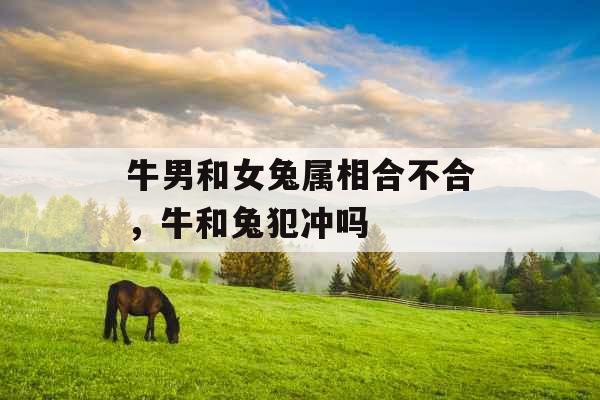 牛男和女兔属相合不合，牛和兔犯冲吗