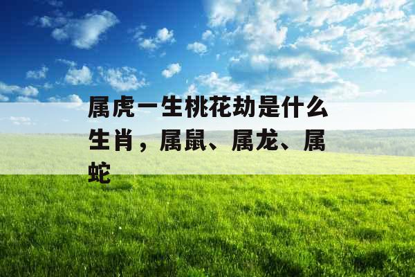 属虎一生桃花劫是什么生肖，属鼠、属龙、属蛇