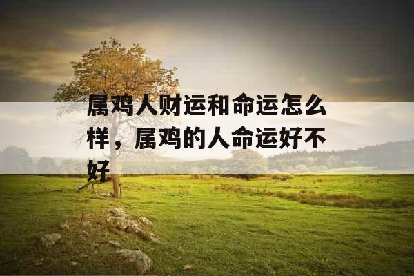 属鸡人财运和命运怎么样，属鸡的人命运好不好