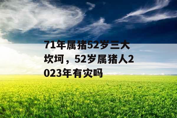 71年属猪52岁三大坎坷，52岁属猪人2023年有灾吗