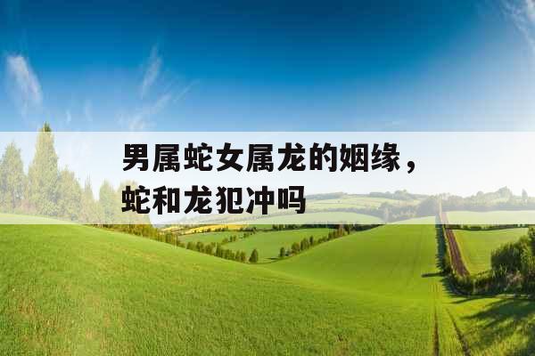 男属蛇女属龙的姻缘，蛇和龙犯冲吗