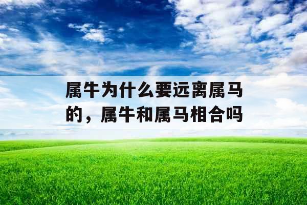 属牛为什么要远离属马的，属牛和属马相合吗