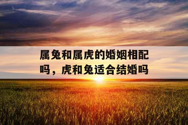 属兔和属虎的婚姻相配吗，虎和兔适合结婚吗