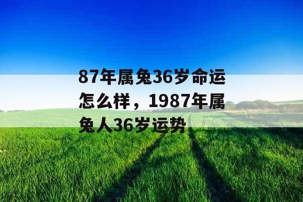 87年属兔36岁命运怎么样,1987年属兔人36岁运势 87年属兔36岁命运怎么样,1987年属兔人36岁运势