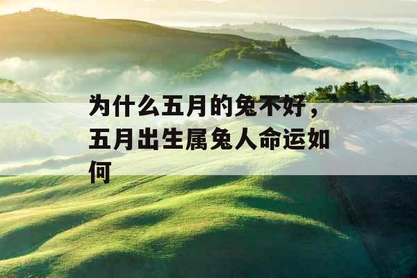 为什么五月的兔不好,五月出生属兔人命运如何 为什么五月的兔不好,五月出生属兔人命运如何