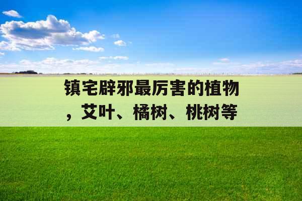 镇宅辟邪最厉害的植物，艾叶、橘树、桃树等