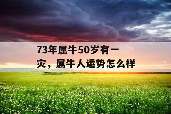 73年属牛50岁有一灾，属牛人运势怎么样