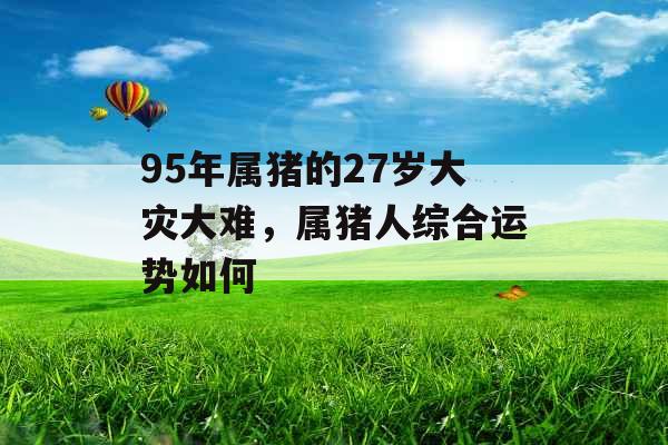 95年属猪的27岁大灾大难，属猪人综合运势如何