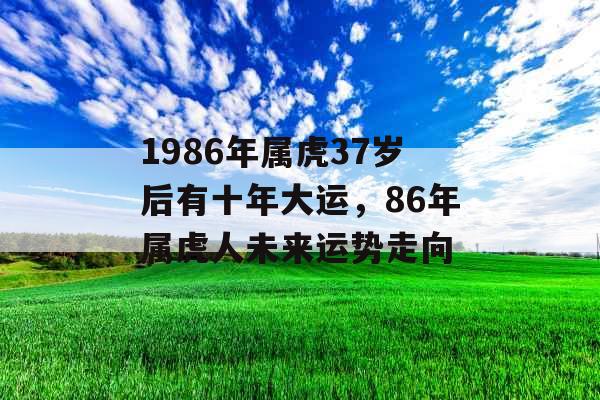1986年属虎37岁后有十年大运，86年属虎人未来运势走向