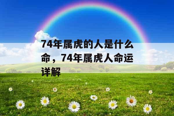 74年属虎的人是什么命，74年属虎人命运详解