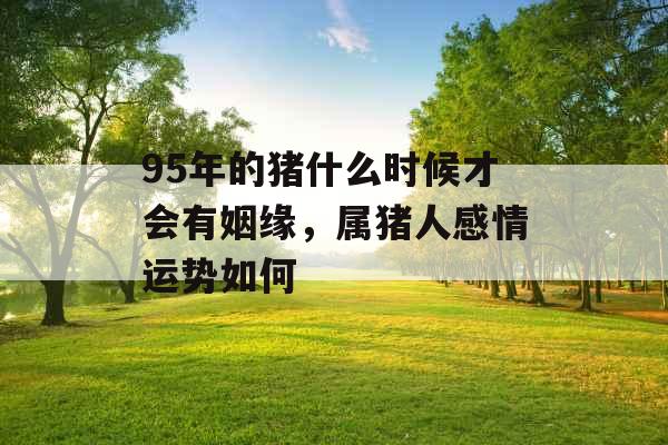 95年的猪什么时候才会有姻缘，属猪人感情运势如何