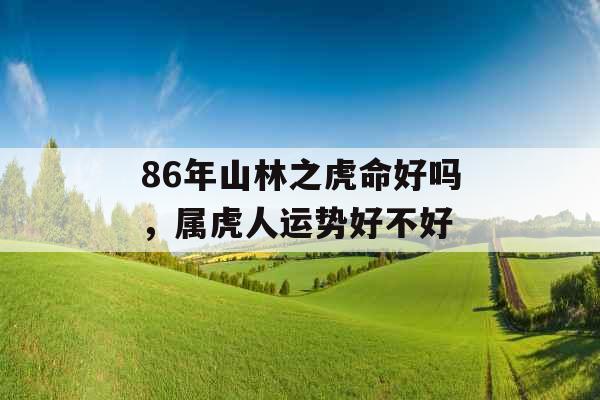 86年山林之虎命好吗，属虎人运势好不好