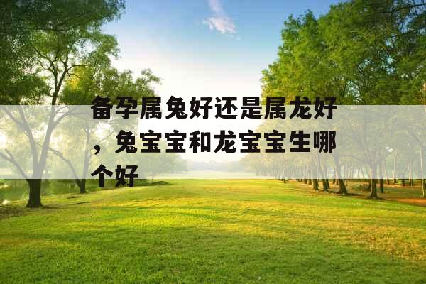 备孕属兔好还是属龙好，兔宝宝和龙宝宝生哪个好