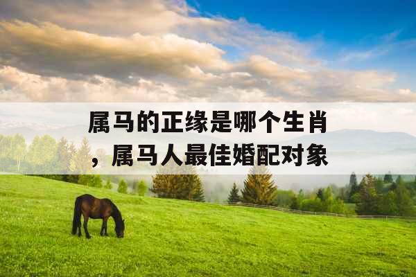 属马的正缘是哪个生肖,属马人最佳婚配对象 属马的正缘是哪个生肖,属马人最佳婚配对象