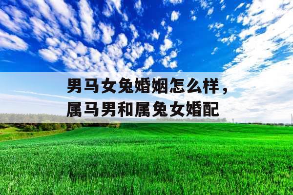 男马女兔婚姻怎么样,属马男和属兔女婚配 男马女兔婚姻怎么样,属马男和属兔女婚配
