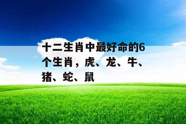 十二生肖中最好命的6个生肖,虎、龙、牛、猪、蛇、鼠 十二生肖中最好命的6个生肖,虎、龙、牛、猪、蛇、鼠