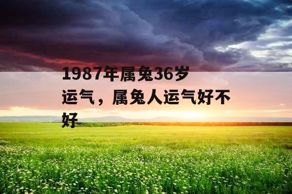 1987年属兔36岁运气,属兔人运气好不好 1987年属兔36岁运气,属兔人运气好不好