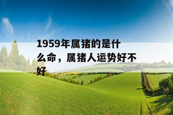 1959年属猪的是什么命,属猪人运势好不好 1959年属猪的是什么命,属猪人运势好不好