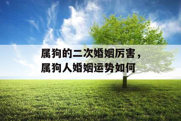 属狗的二次婚姻厉害，属狗人婚姻运势如何