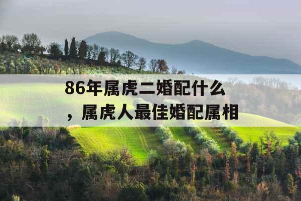 86年属虎二婚配什么,属虎人最佳婚配属相 86年属虎二婚配什么,属虎人最佳婚配属相