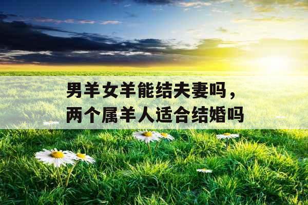 男羊女羊能结夫妻吗,两个属羊人适合结婚吗 男羊女羊能结夫妻吗,两个属羊人适合结婚吗