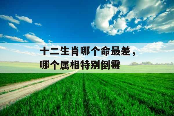 十二生肖哪个命最差,哪个属相特别倒霉 十二生肖哪个命最差,哪个属相特别倒霉