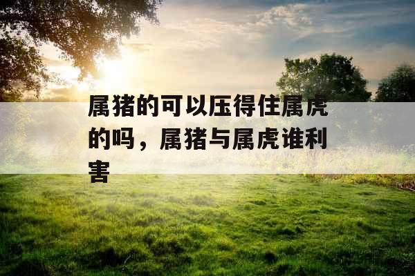 属猪的可以压得住属虎的吗,属猪与属虎谁利害 属猪的可以压得住属虎的吗,属猪与属虎谁利害