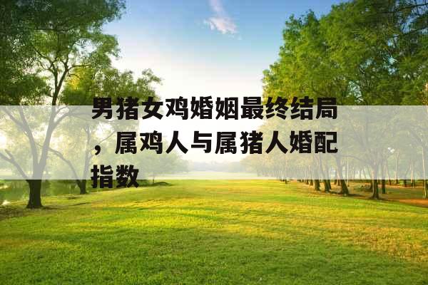 男猪女鸡婚姻最终结局，属鸡人与属猪人婚配指数