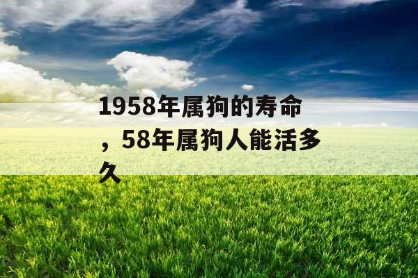 1958年属狗的寿命,58年属狗人能活多久 1958年属狗的寿命,58年属狗人能活多久