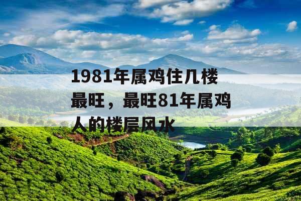 1981年属鸡住几楼最旺，最旺81年属鸡人的楼层风水