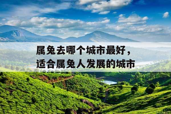 属兔去哪个城市最好,适合属兔人发展的城市 属兔去哪个城市最好,适合属兔人发展的城市