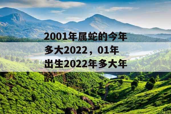 2001年属蛇的今年多大2022，01年出生2022年多大年龄