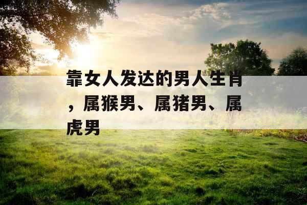 靠女人发达的男人生肖，属猴男、属猪男、属虎男