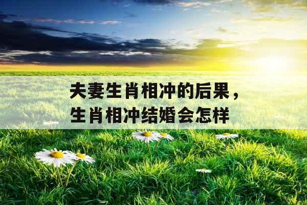 夫妻生肖相冲的后果,生肖相冲结婚会怎样 夫妻生肖相冲的后果,生肖相冲结婚会怎样