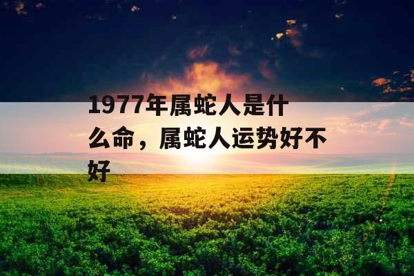 1977年属蛇人是什么命,属蛇人运势好不好 1977年属蛇人是什么命,属蛇人运势好不好