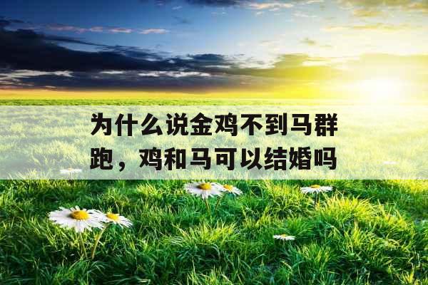 为什么说金鸡不到马群跑,鸡和马可以结婚吗 为什么说金鸡不到马群跑,鸡和马可以结婚吗