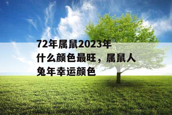 72年属鼠2023年什么颜色最旺，属鼠人兔年幸运颜色