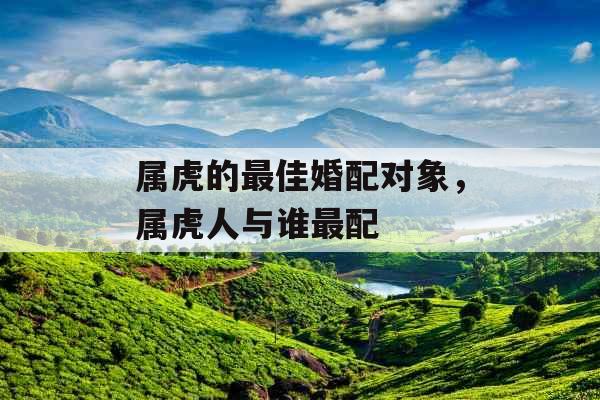 属虎的最佳婚配对象，属虎人与谁最配