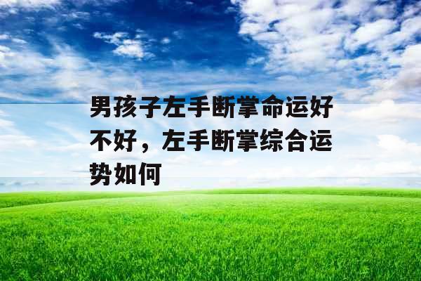 男孩子左手断掌命运好不好,左手断掌综合运势如何 男孩子左手断掌命运好不好,左手断掌综合运势如何