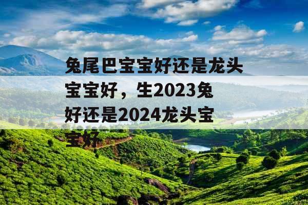 兔尾巴宝宝好还是龙头宝宝好,生2023兔好还是2024龙头宝宝好 兔尾巴宝宝好还是龙头宝宝好,生2023兔好还是2024龙头宝宝好