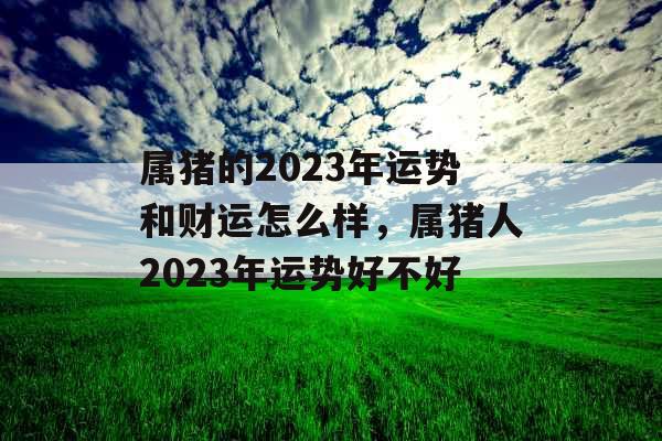 属猪的2023年运势和财运怎么样，属猪人2023年运势好不好