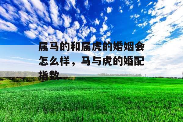 属马的和属虎的婚姻会怎么样,马与虎的婚配指数 属马的和属虎的婚姻会怎么样,马与虎的婚配指数