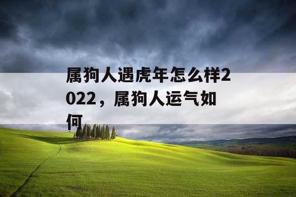 属狗人遇虎年怎么样2022,属狗人运气如何 属狗人遇虎年怎么样2022,属狗人运气如何