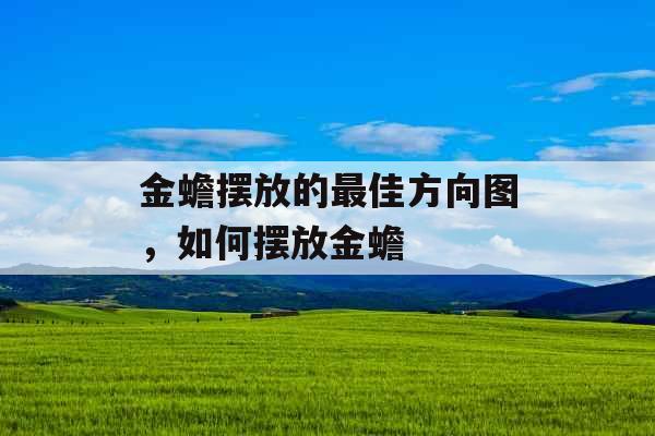 金蟾摆放的最佳方向图,如何摆放金蟾 金蟾摆放的最佳方向图,如何摆放金蟾
