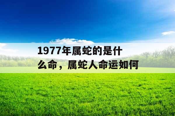1977年属蛇的是什么命,属蛇人命运如何 1977年属蛇的是什么命,属蛇人命运如何