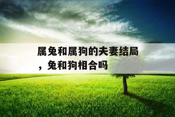 属兔和属狗的夫妻结局，兔和狗相合吗