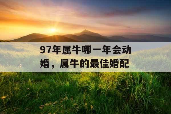 97年属牛哪一年会动婚,属牛的最佳婚配 97年属牛哪一年会动婚,属牛的最佳婚配