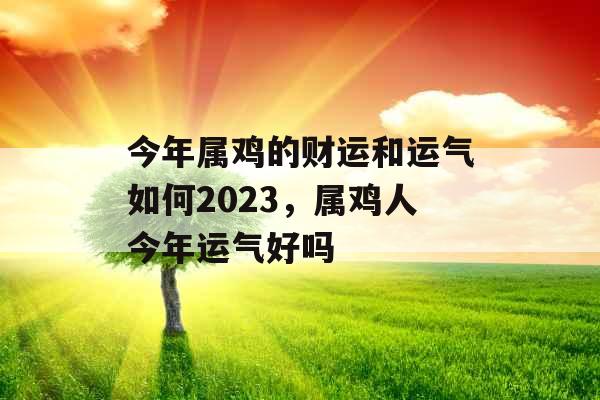 今年属鸡的财运和运气如何2023，属鸡人今年运气好吗